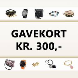 Gavekort 300 kr.